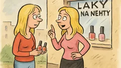 Vtip: Blondýnka říká druhé blondýnce o lacích