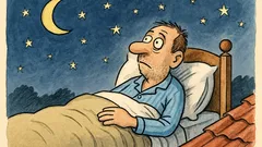 Vtip: Včera v noci si lehnu do postele